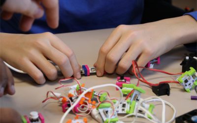 Soixante lycéens mettent la « main à la pâte scientifique »